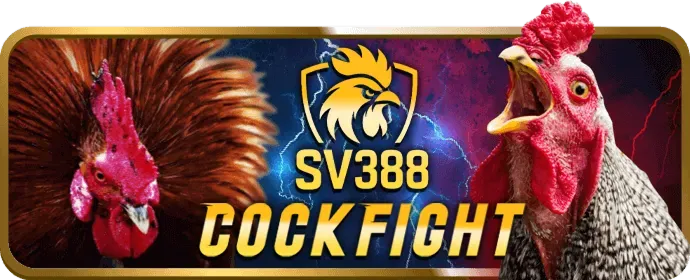 Slot 3D rich888 login